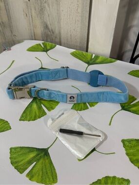 Wander Light Blue Adjustable Dog Collar with Metal Buckle